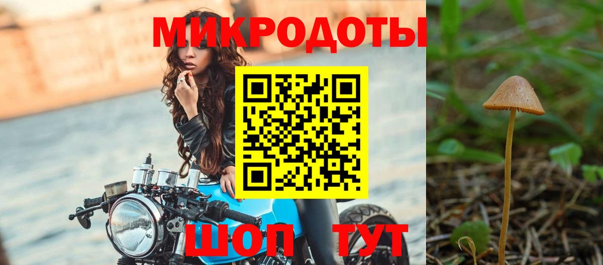 Партизанск  Псилоцибиновые грибы GOLDEN TEACHER  Галлюциногенные грибы ЛСД  Вход с VPN 